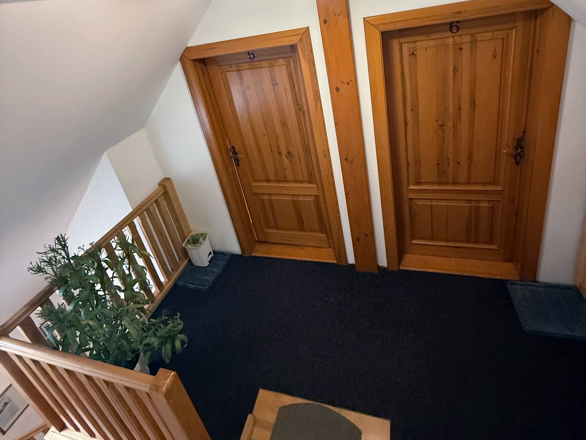 Penzion a restaurace U Zvonku Kořenov